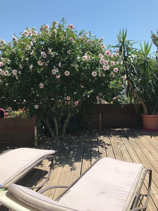 Appartement Sur La Colline Avec Acces Piscine Volx Exterior photo